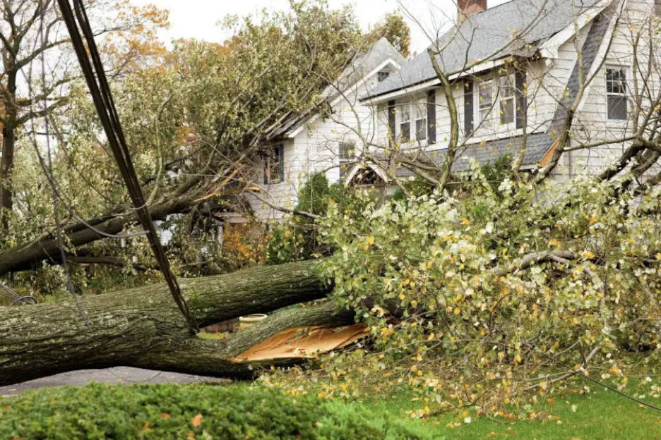 What To Do Before & After A Hurricane